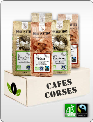 Dégustation café : thème café corsé Dégustation café : thème café corsé