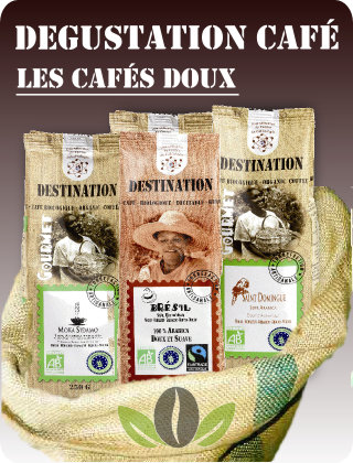 Dégustation café : thème café doux Dégustation café : thème café doux