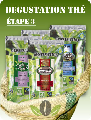 Initiation thé - Etape3 - 4 Sachets fraîcheur Initiation thé - Etape3 - 4 Sachets fraîcheur