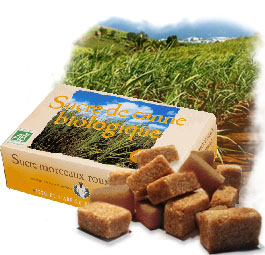 Sucre Bio - Sucre de Canne Roux en Morceaux - 1kg