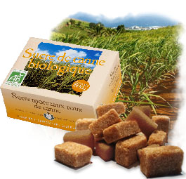 Sucre Bio - Sucre de Canne Roux en Morceaux - 500g