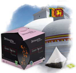 Th� Vert Earl Grey Menthe Bio en pyramide - Green Passion x 15