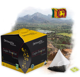 Th� Noir Ceylan FP Bio en pyramide - Ceylon Breakfast x 15