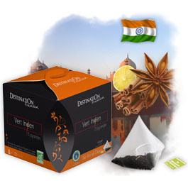 Th� Vert aux �pices Bio en pyramide - Vert Indien x 15