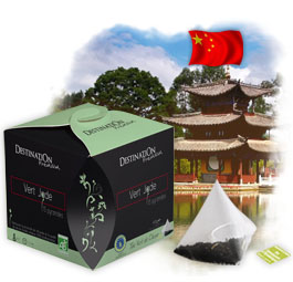 Th� Vert Bio de Chine en pyramide - Vert Jade x 15