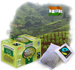 Th� en sachets Bio Equitable - Th� Vert Darjeeling x 20