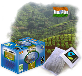 Th� en sachets Bio Equitable - Darjeeling x 20