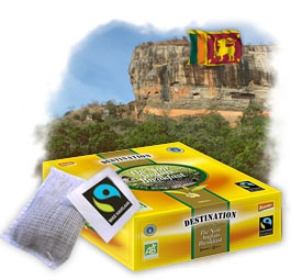 Th� Anglais Breakfast Bio Equitable x 100 sachets