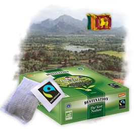 Th� Vert Nature Ceylan Bio Equitable x 100 sachets