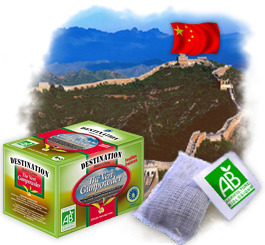 Th� en sachet Bio - Th� Vert Gunpowder Chine Bio x 20