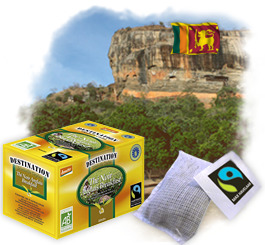 Th� en sachets Bio Equitable - English Breakfast x 20