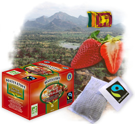Th� en sachets Bio Equitable - Fraises des bois x 20