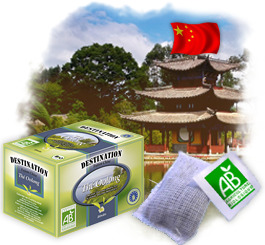 Th� en sachets Bio - Th� Oolong x 20