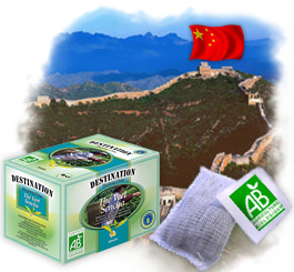 Th� en sachets Bio - Th� Vert Sencha Chine x 20