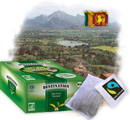 Un petit déjeuner bonne mine !!  the-sachet-bio-vert-ceylan-50