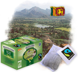 Th� en sachets Bio Equitable - Th� Vert Nature Ceylan x 20