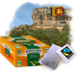 Th� en sachets Bio Equitable - Earl Grey Vert x 50