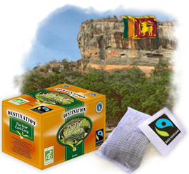 Th� en sachets Bio Equitable - Earl Grey Vert x 20