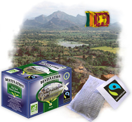 Th� en sachets Bio Equitable - Th� Vert au Jasmin x 20