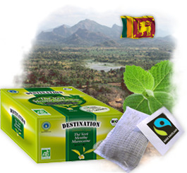 Th� en sachets Bio Equitable - Th� Vert � la Menthe x 50