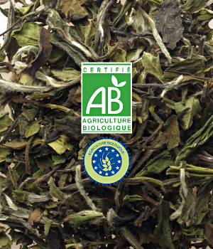 Thé Blanc Bio Vrac - Bai Mu Dan ( Pai Mu Tan ) - 1kg Thé Blanc Bio Vrac - Bai Mu Dan ( Pai Mu Tan ) - 1kg