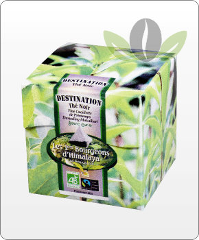 Thé en sachet pyramide Bio Equitable - Darjeeling Makaïbari x 20 Thé en sachet pyramide Bio Equitable - Darjeeling Makaïbari x 20