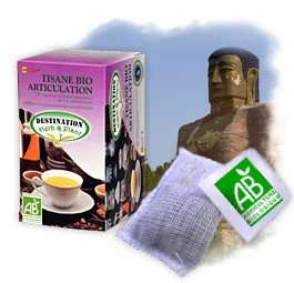 Tisane Bio - Tisane Articulation x 20 sachets