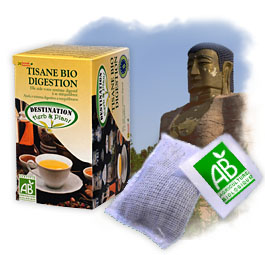 Tisane Bio - Tisane Digestion x 20 sachets