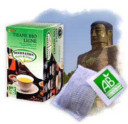 Tisane Bio - Tisane Ligne x 20 sachets