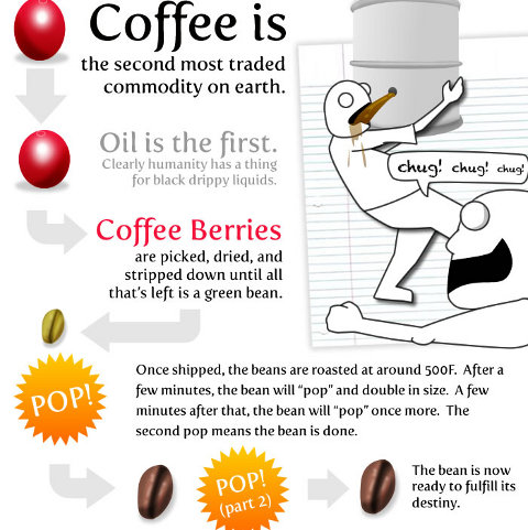 15 things knowing about coffee 3