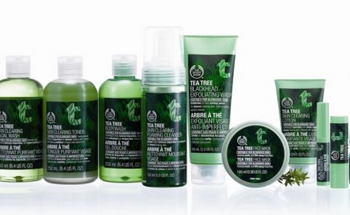 the-body-shop-tea-tree-skincare-range-482x298