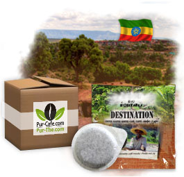 Dosette ESE Café Bio - Ethiopie Moka Djimmah x 100 Dosette ESE Café Bio - Ethiopie Moka Djimmah x 100