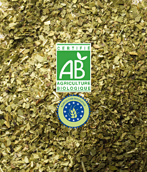 Thé Yerba Bio Vrac - Maté Vert du Paraguay - 1kg Thé Yerba Bio Vrac - Maté Vert du Paraguay - 1kg