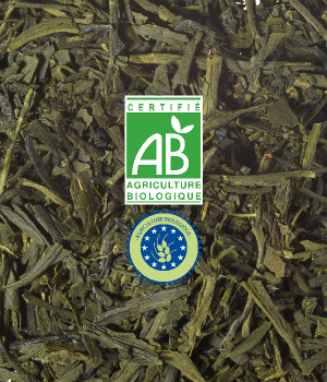 Thé Vert Bio Vrac - Sencha Premium Uji - 1kg Thé Vert Bio Vrac - Sencha Premium Uji - 1kg
