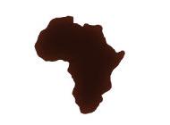 Voir articles de la catégorie Cafés Afrique bio